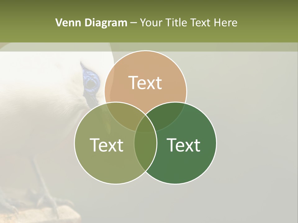 Construct New Blue Sky PowerPoint Template