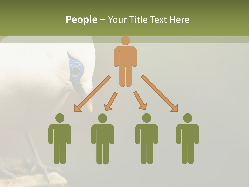 Construct New Blue Sky PowerPoint Template