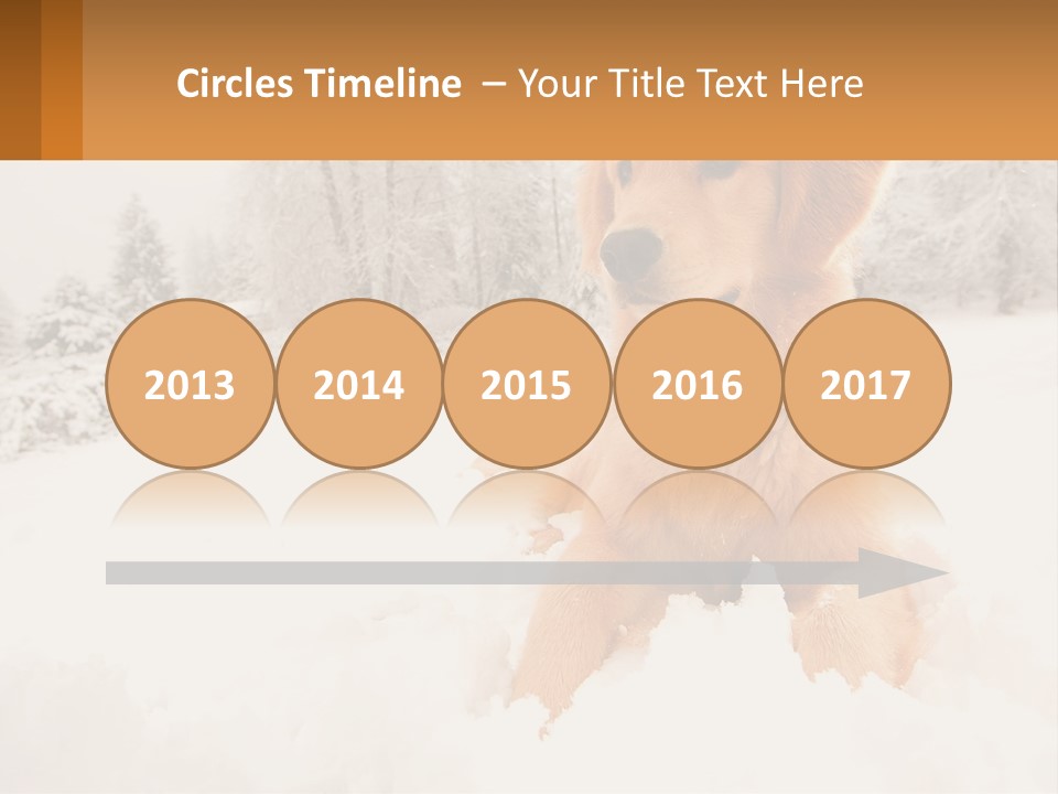 Dream Background Made PowerPoint Template