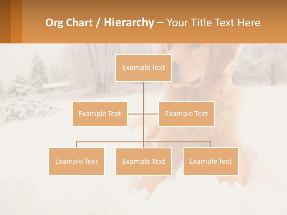 Dream Background Made PowerPoint Template