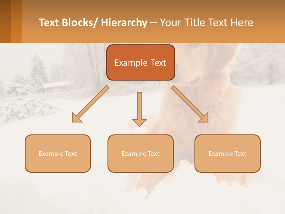 Dream Background Made PowerPoint Template