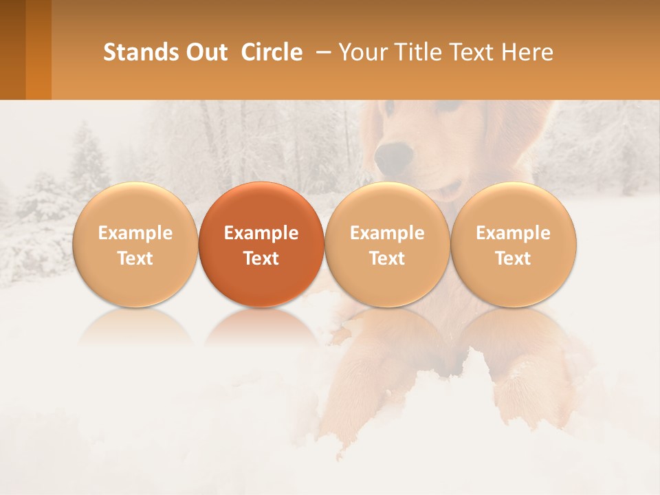 Dream Background Made PowerPoint Template