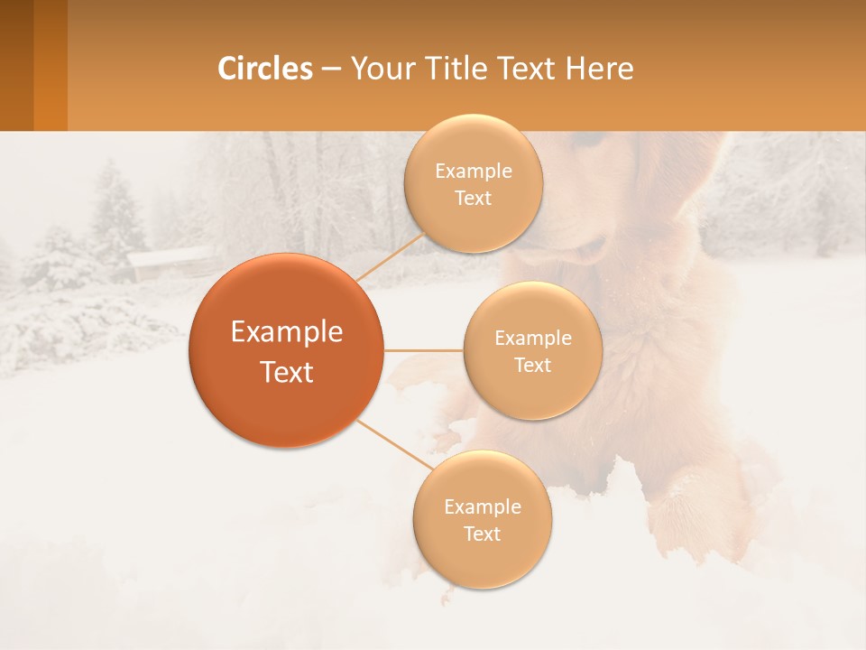 Dream Background Made PowerPoint Template