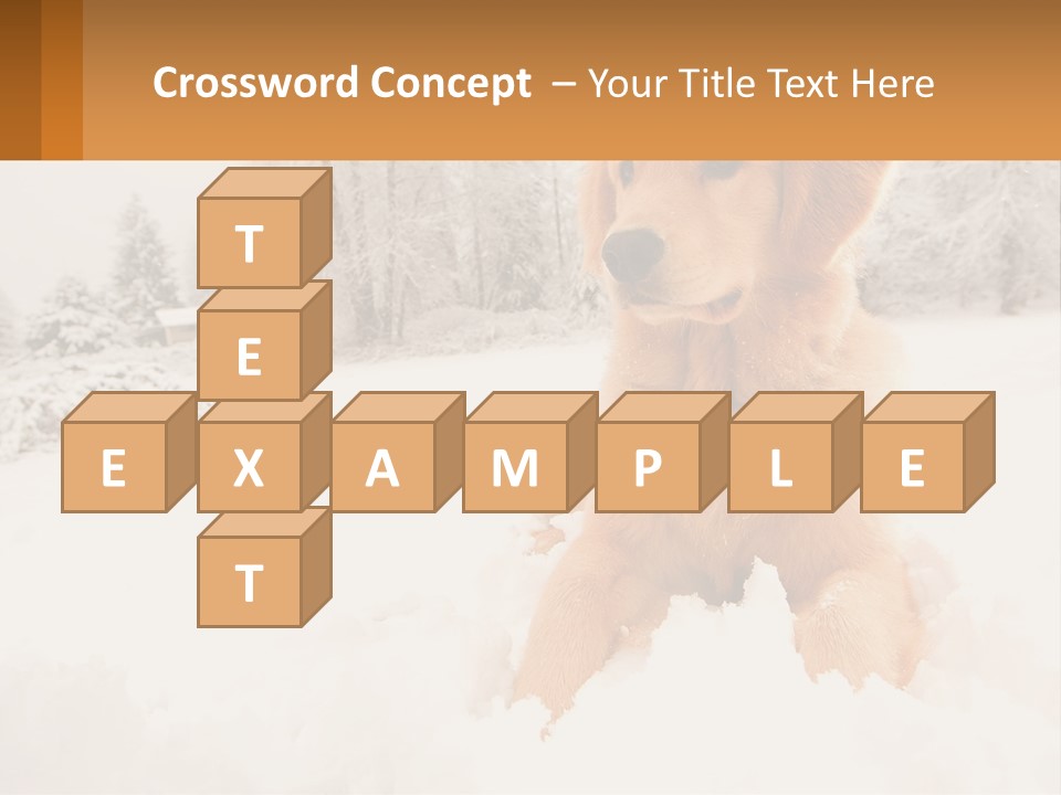 Dream Background Made PowerPoint Template