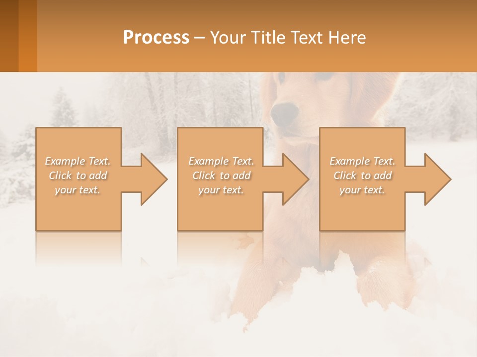 Dream Background Made PowerPoint Template