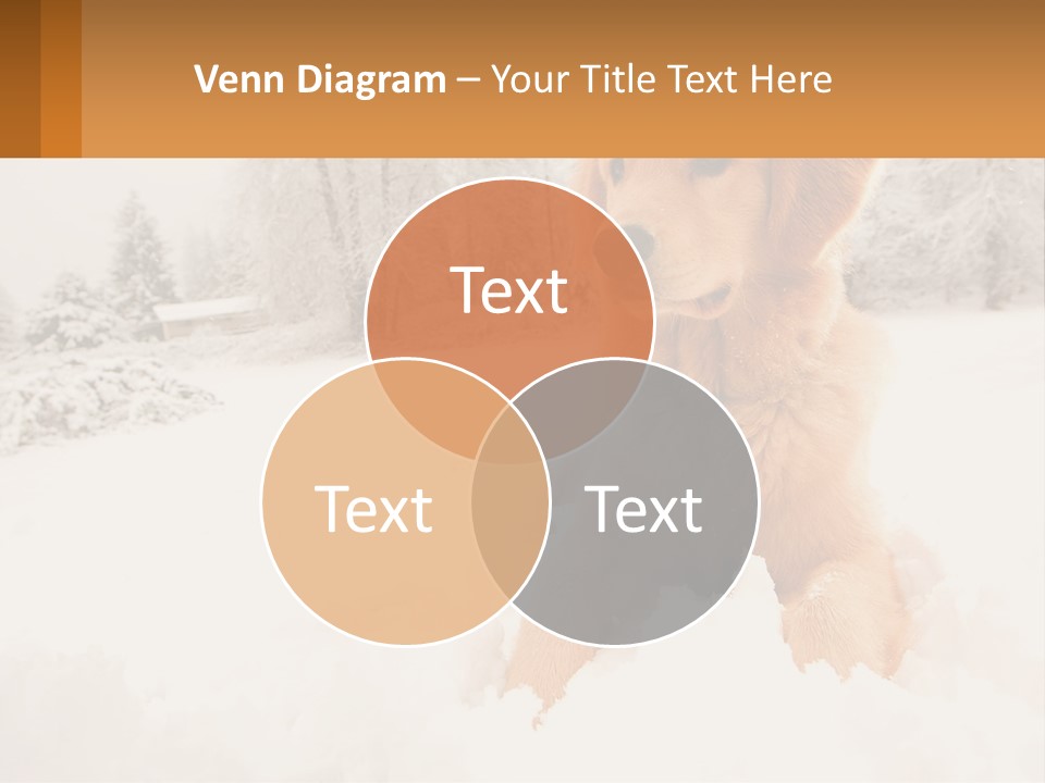 Dream Background Made PowerPoint Template