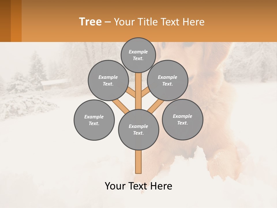 Dream Background Made PowerPoint Template