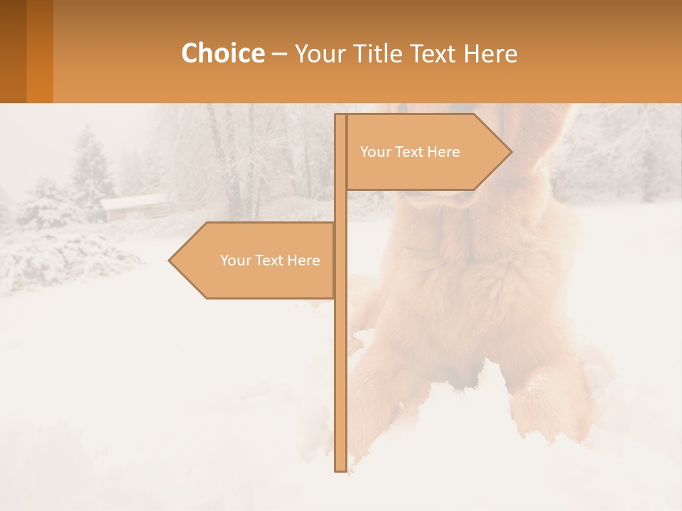 Dream Background Made PowerPoint Template