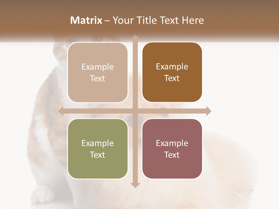 Nature Leaf Blue Sky PowerPoint Template