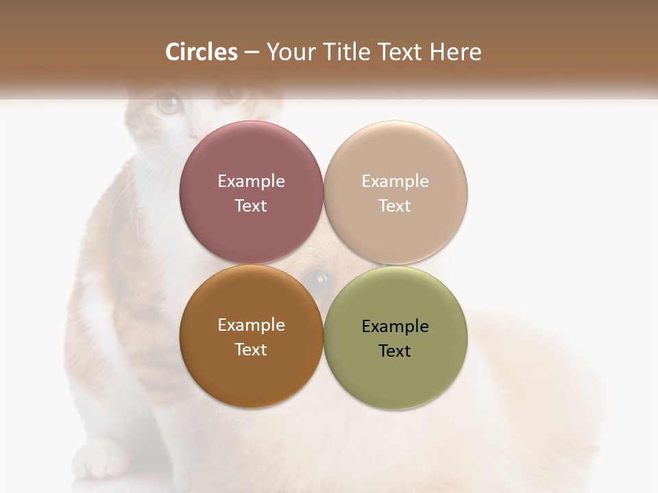 Nature Leaf Blue Sky PowerPoint Template