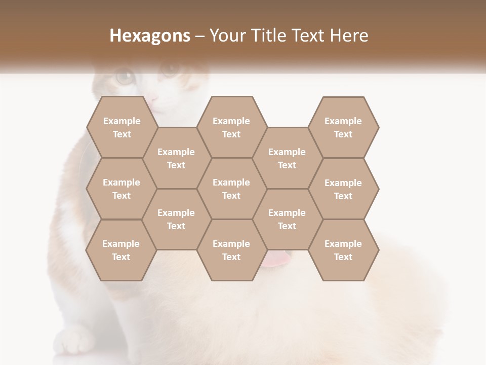 Nature Leaf Blue Sky PowerPoint Template