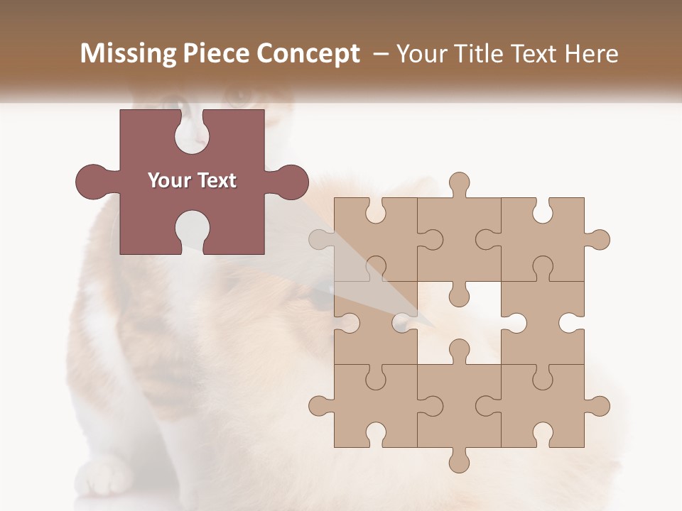 Nature Leaf Blue Sky PowerPoint Template