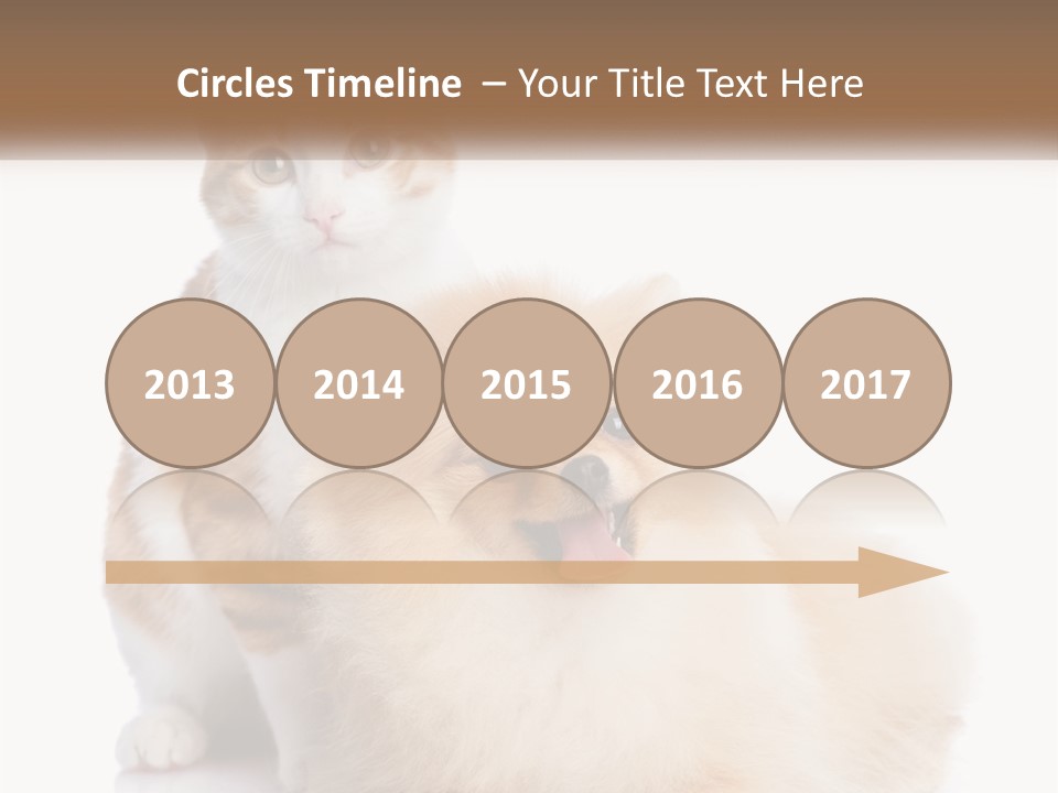 Nature Leaf Blue Sky PowerPoint Template