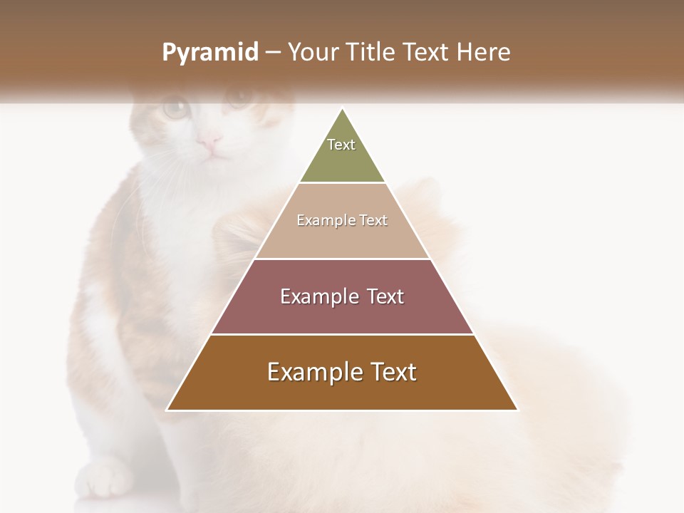 Nature Leaf Blue Sky PowerPoint Template