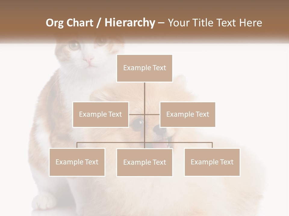 Nature Leaf Blue Sky PowerPoint Template