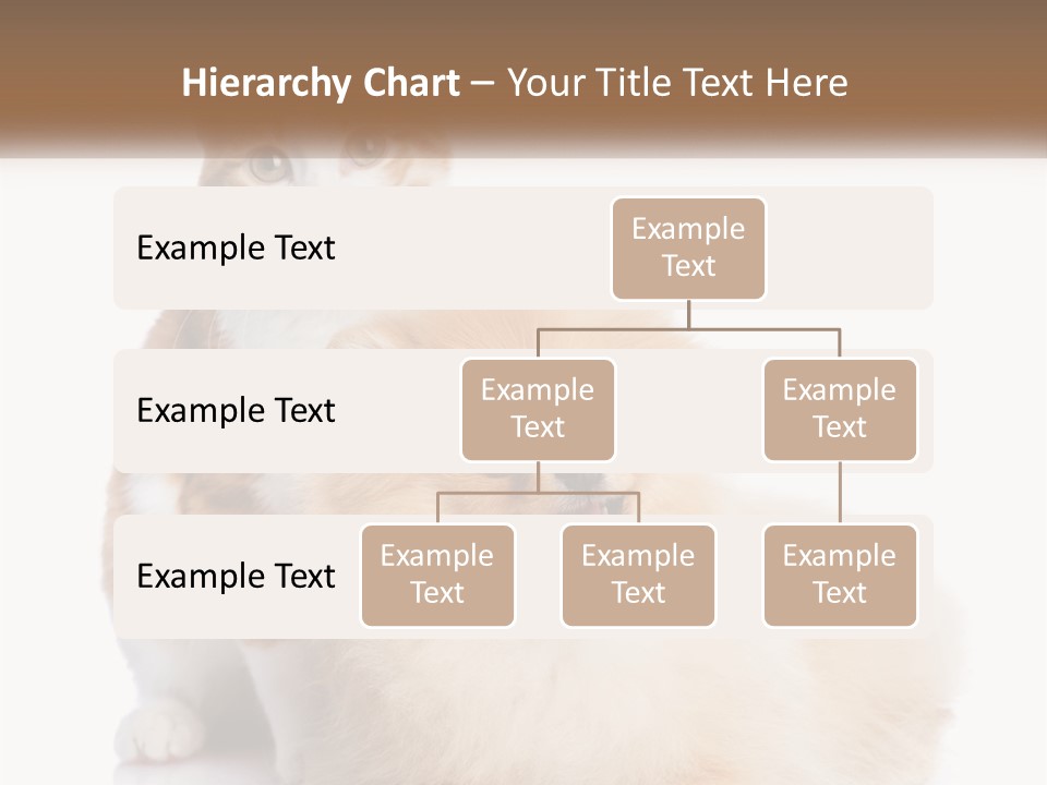 Nature Leaf Blue Sky PowerPoint Template
