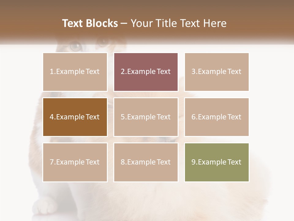 Nature Leaf Blue Sky PowerPoint Template