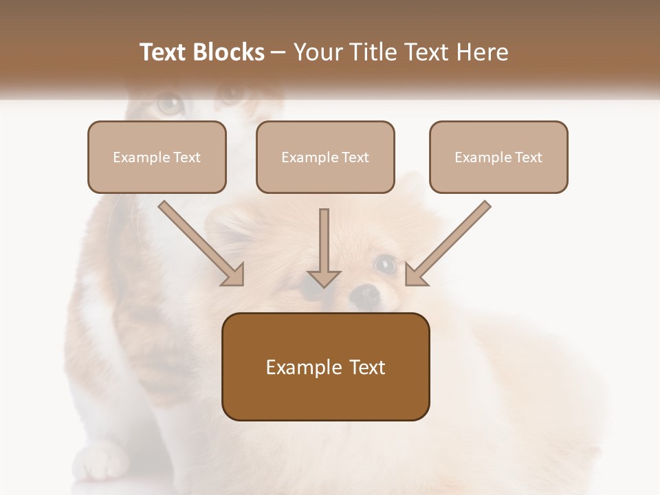 Nature Leaf Blue Sky PowerPoint Template