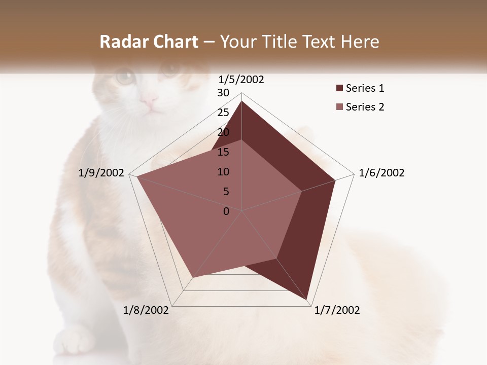 Nature Leaf Blue Sky PowerPoint Template