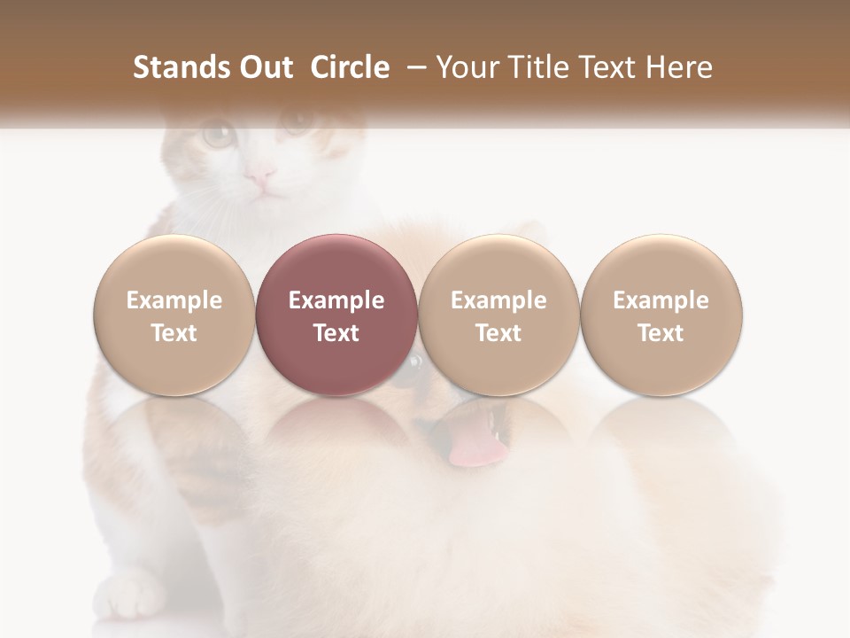 Nature Leaf Blue Sky PowerPoint Template