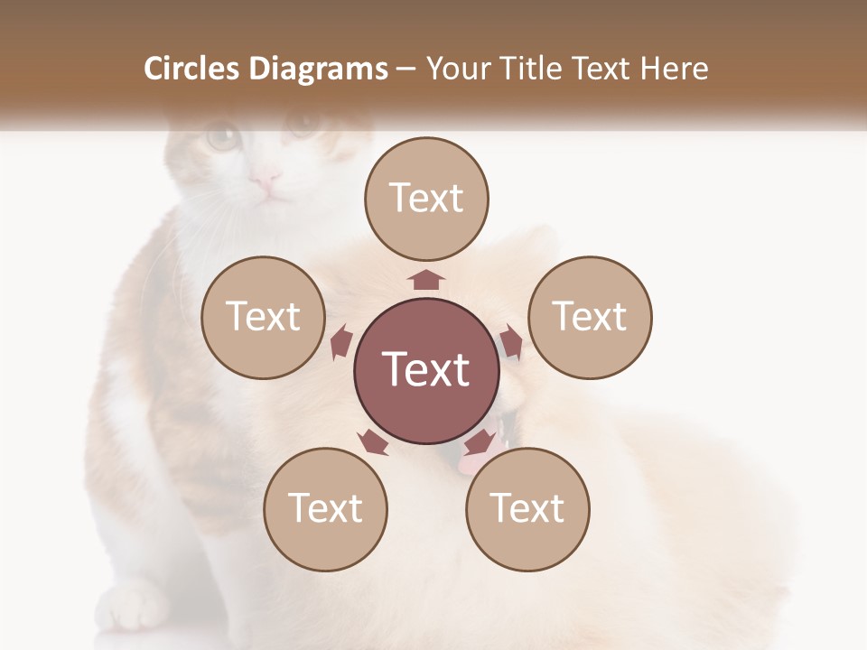 Nature Leaf Blue Sky PowerPoint Template