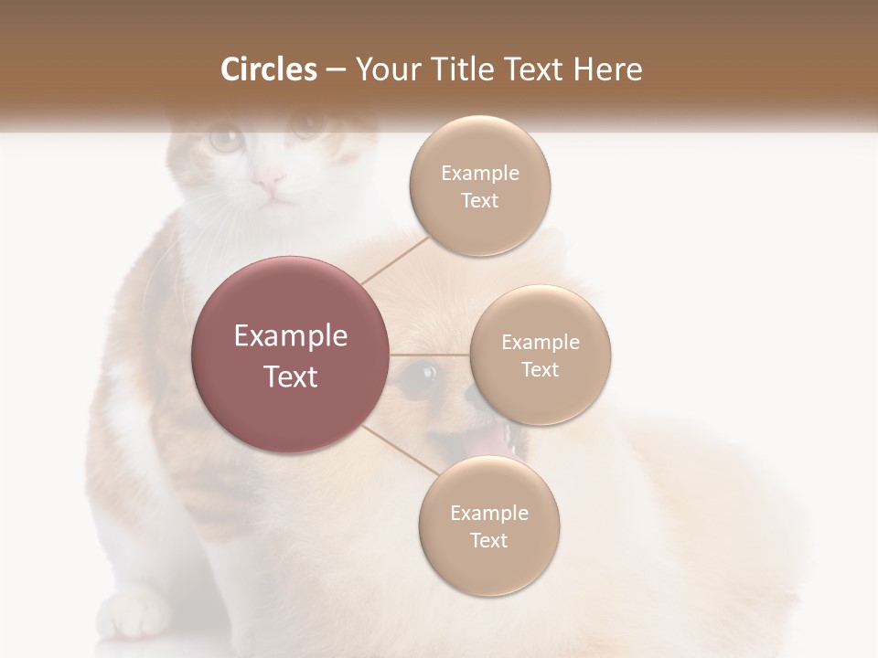 Nature Leaf Blue Sky PowerPoint Template