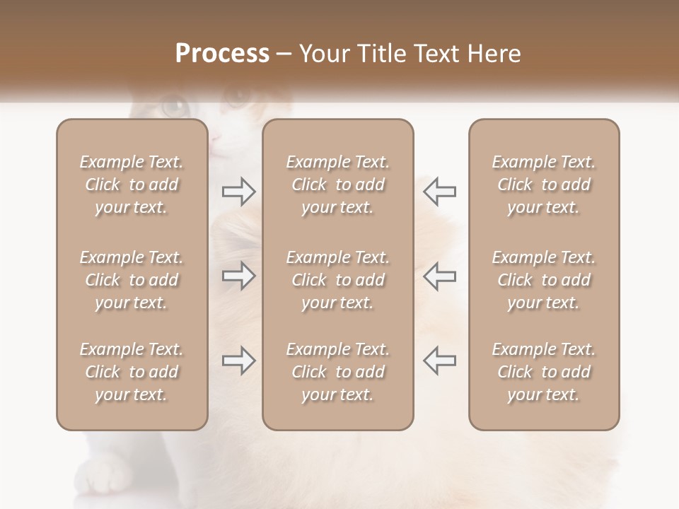Nature Leaf Blue Sky PowerPoint Template