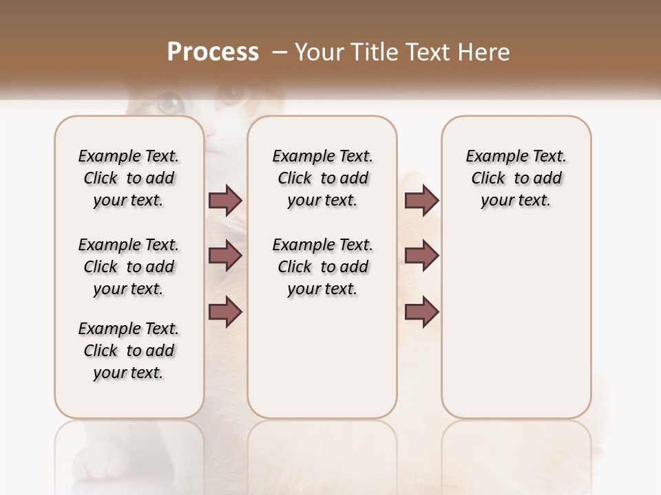 Nature Leaf Blue Sky PowerPoint Template