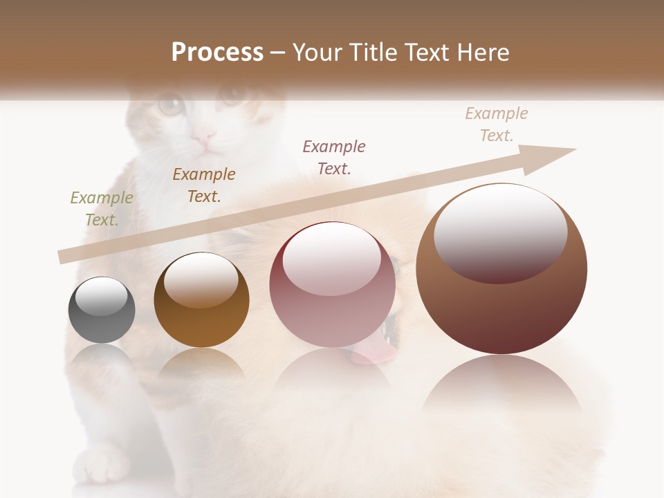 Nature Leaf Blue Sky PowerPoint Template