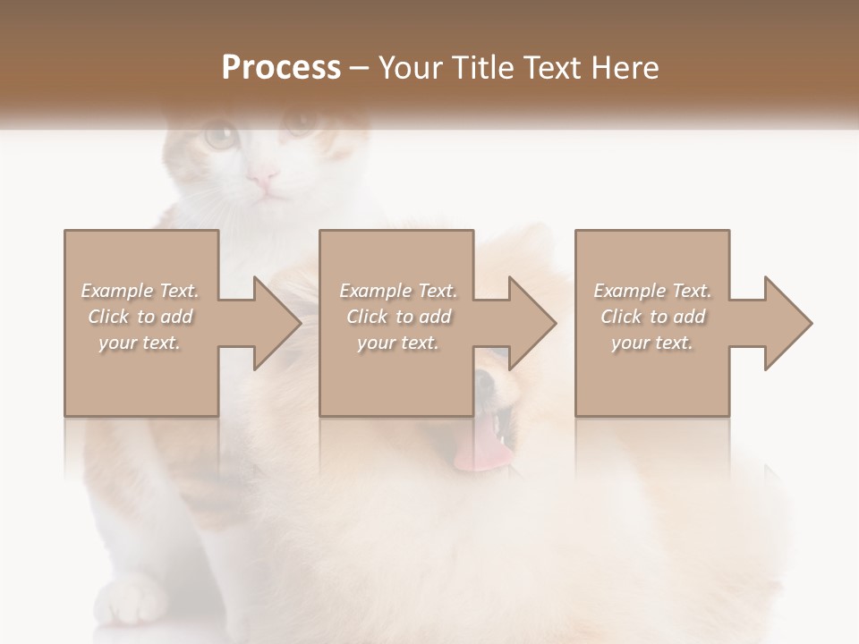 Nature Leaf Blue Sky PowerPoint Template