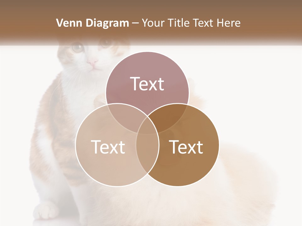 Nature Leaf Blue Sky PowerPoint Template