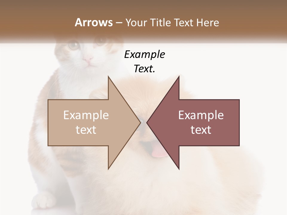 Nature Leaf Blue Sky PowerPoint Template