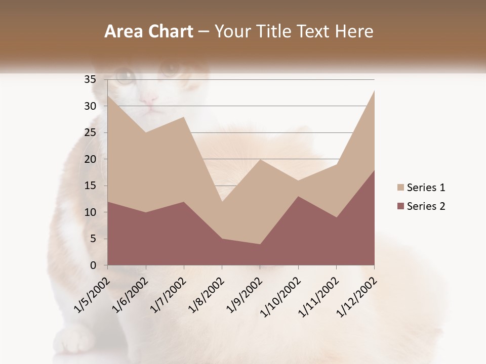 Nature Leaf Blue Sky PowerPoint Template