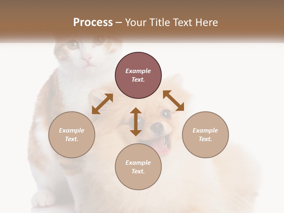 Nature Leaf Blue Sky PowerPoint Template