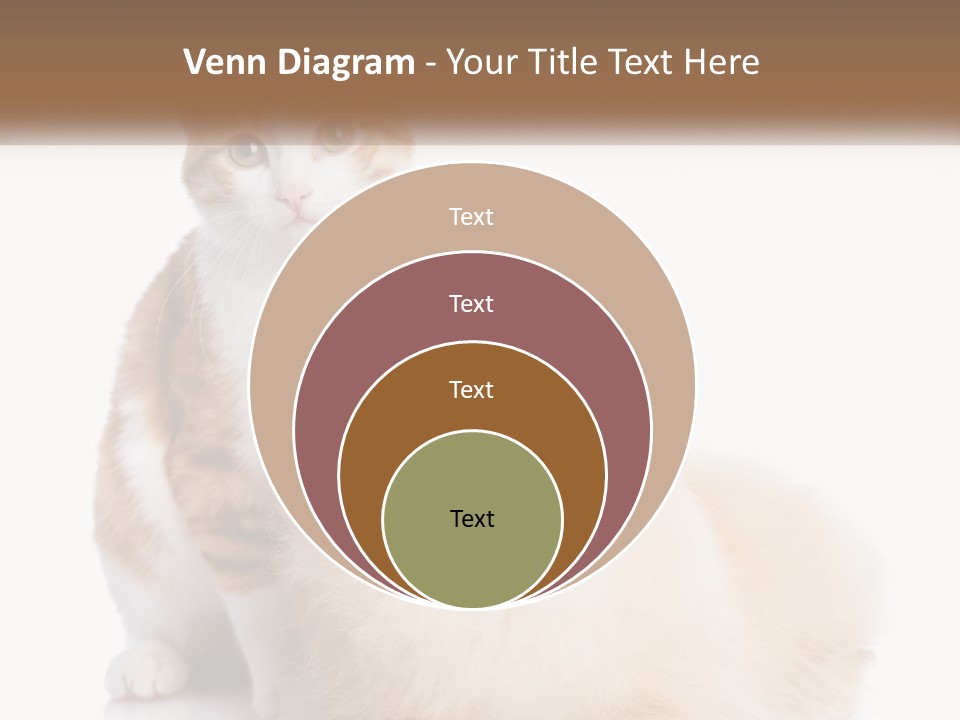 Nature Leaf Blue Sky PowerPoint Template