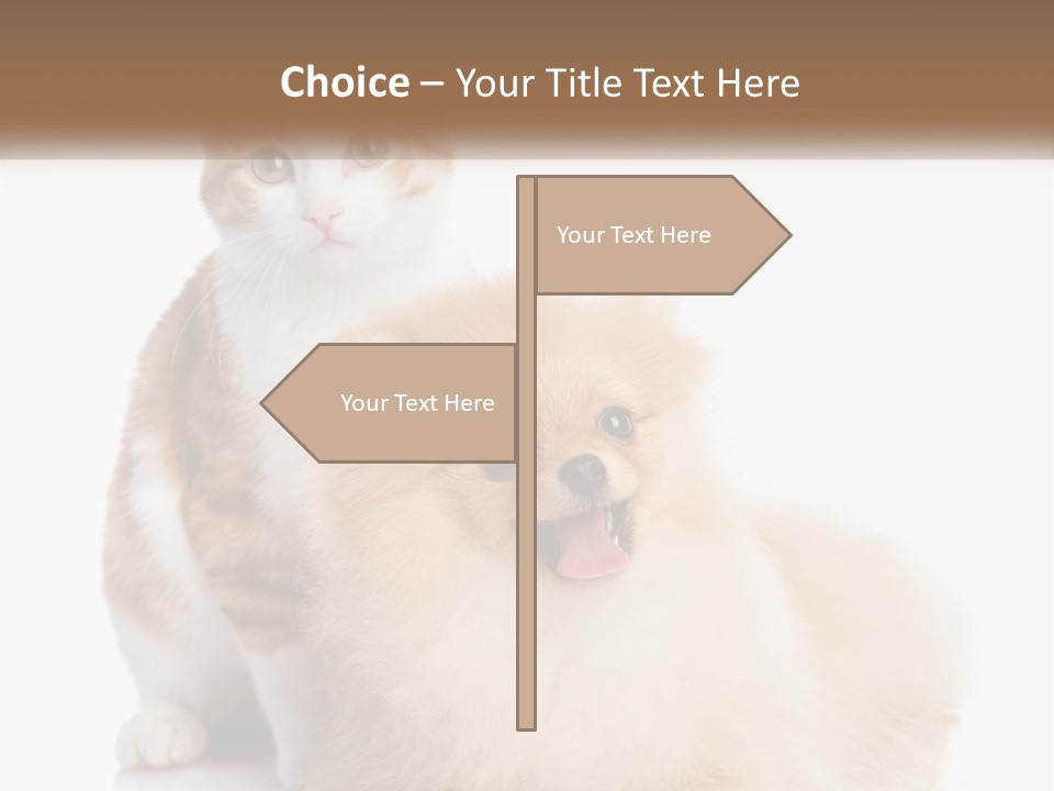 Nature Leaf Blue Sky PowerPoint Template