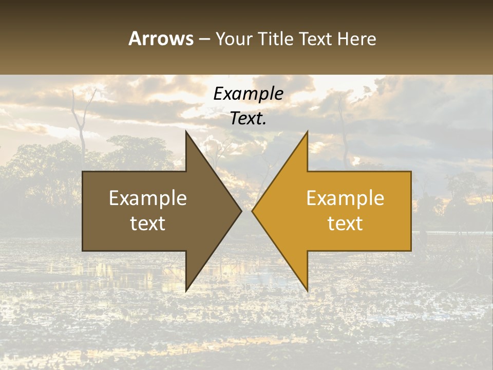 Garden Park Ownership PowerPoint Template