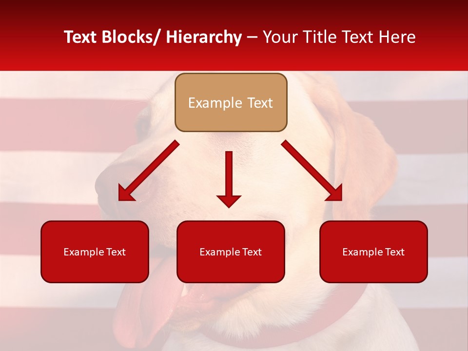 Conceptual Background Architecture PowerPoint Template