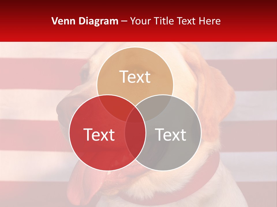 Conceptual Background Architecture PowerPoint Template