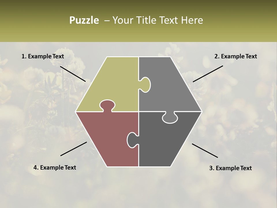 House Human Hand Property PowerPoint Template