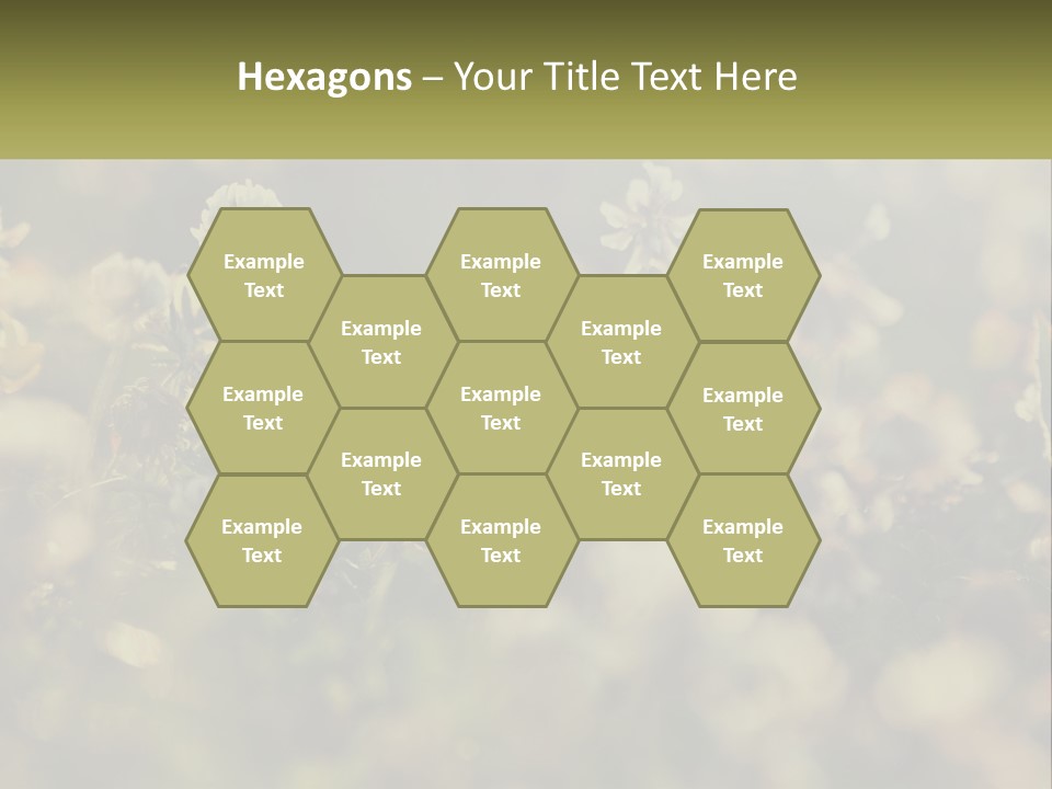 House Human Hand Property PowerPoint Template