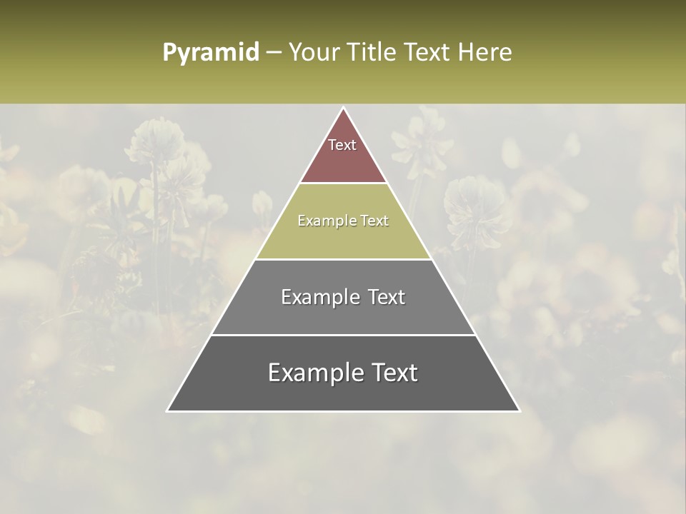 House Human Hand Property PowerPoint Template