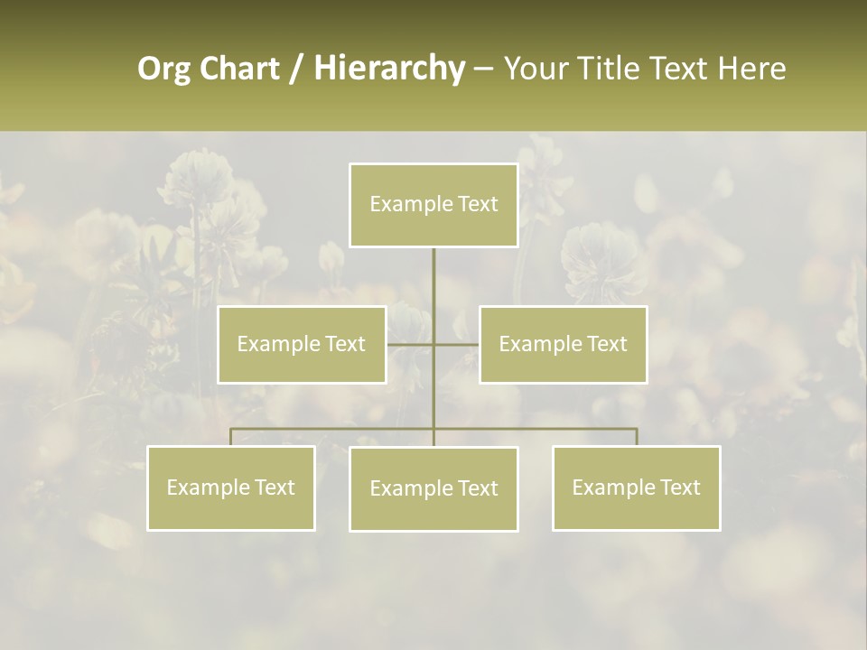 House Human Hand Property PowerPoint Template