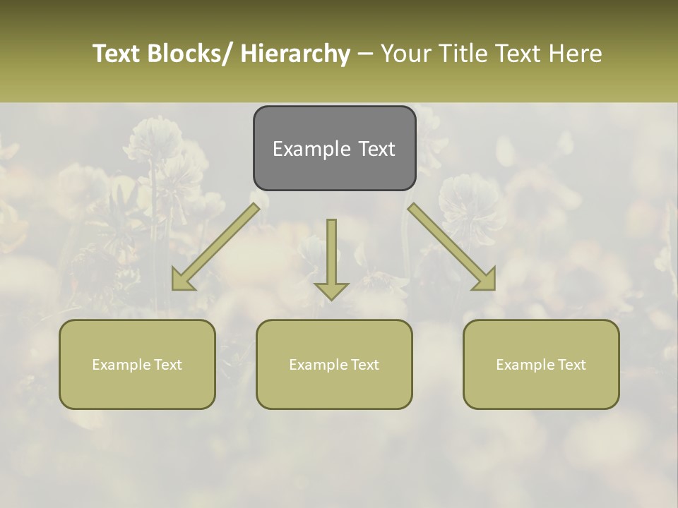 House Human Hand Property PowerPoint Template