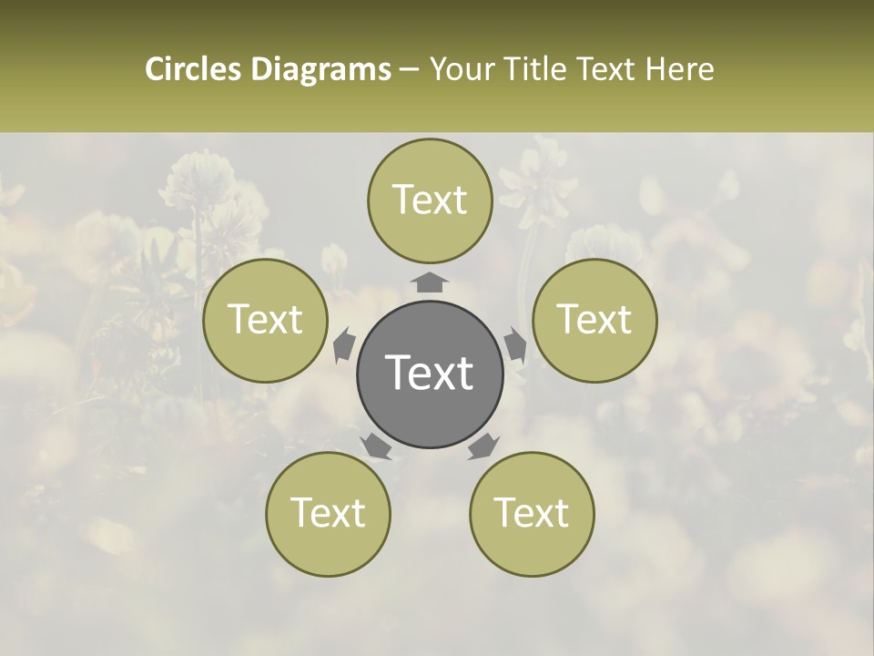 House Human Hand Property PowerPoint Template