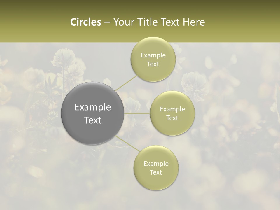 House Human Hand Property PowerPoint Template