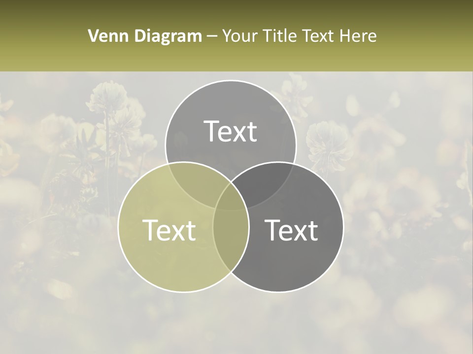 House Human Hand Property PowerPoint Template