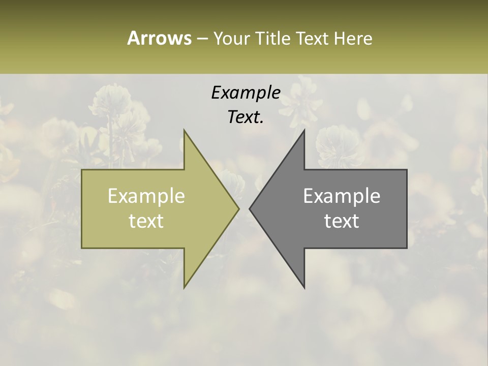House Human Hand Property PowerPoint Template