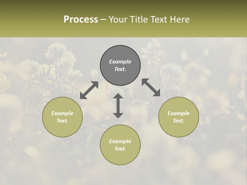 House Human Hand Property PowerPoint Template