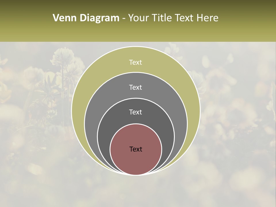 House Human Hand Property PowerPoint Template